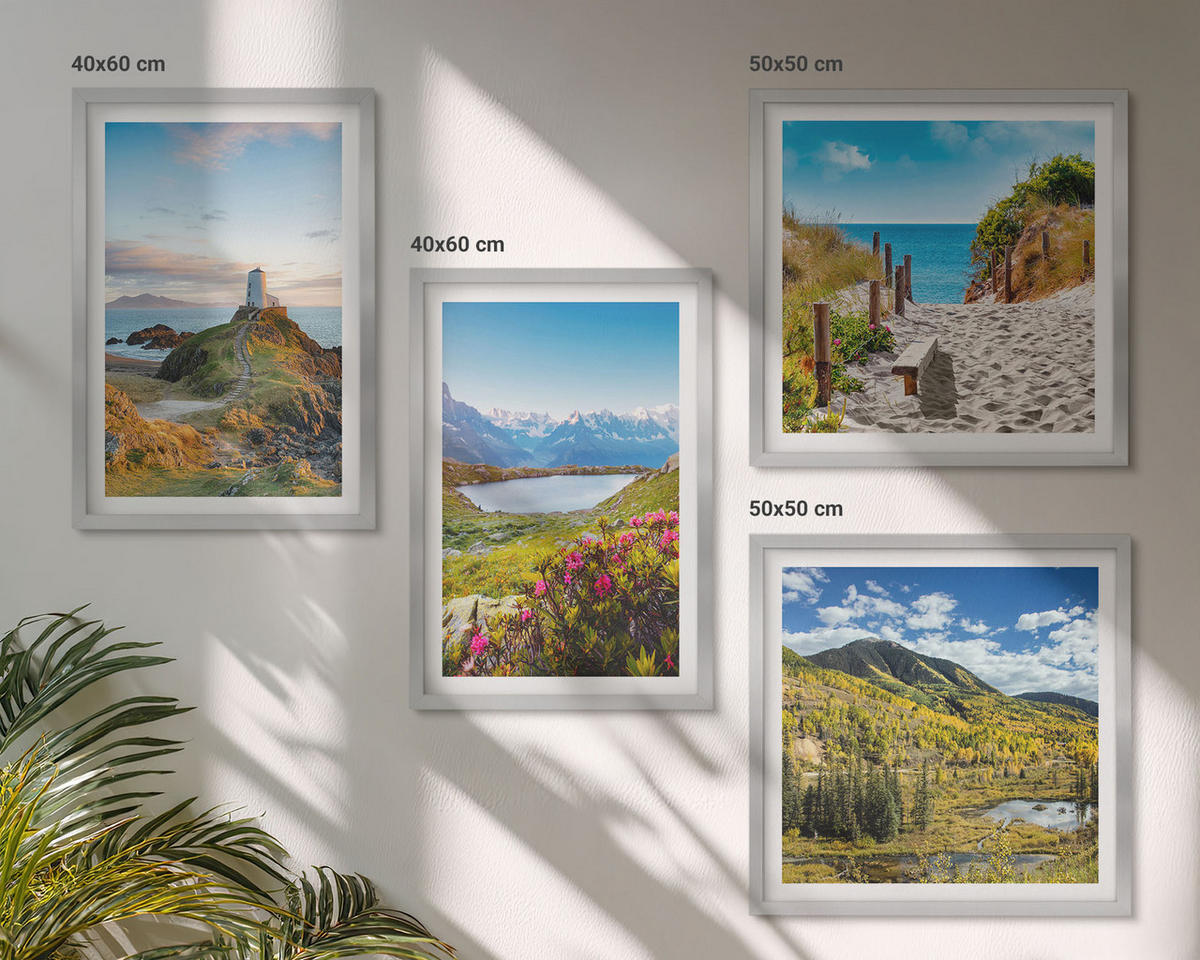 WANDBILDER 4er Set - 50x50 cm & 40x60 cm Silberner Rahmen - Strand, Leuchtturm, Berge, Wiesen, Blumen - Silberfarben, Kunststoff (50/50cm) - ArtPrintCave