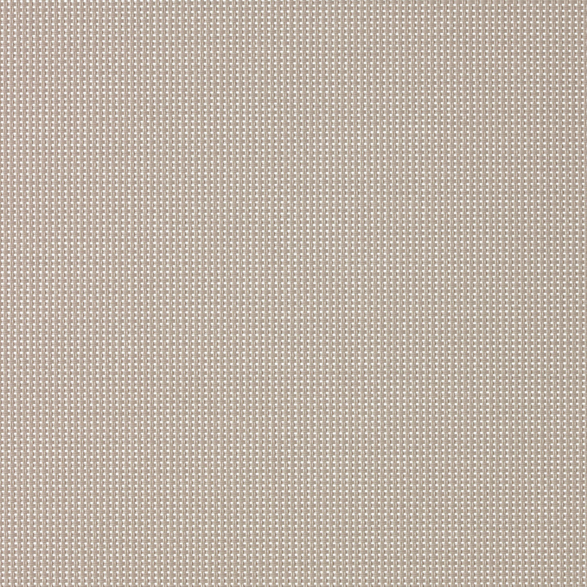 SEITENZUGROLLO Viewtex Screen 10% Öffnungsgrad - Beige, Textil (120/250/250cm) - VIEWTEX
