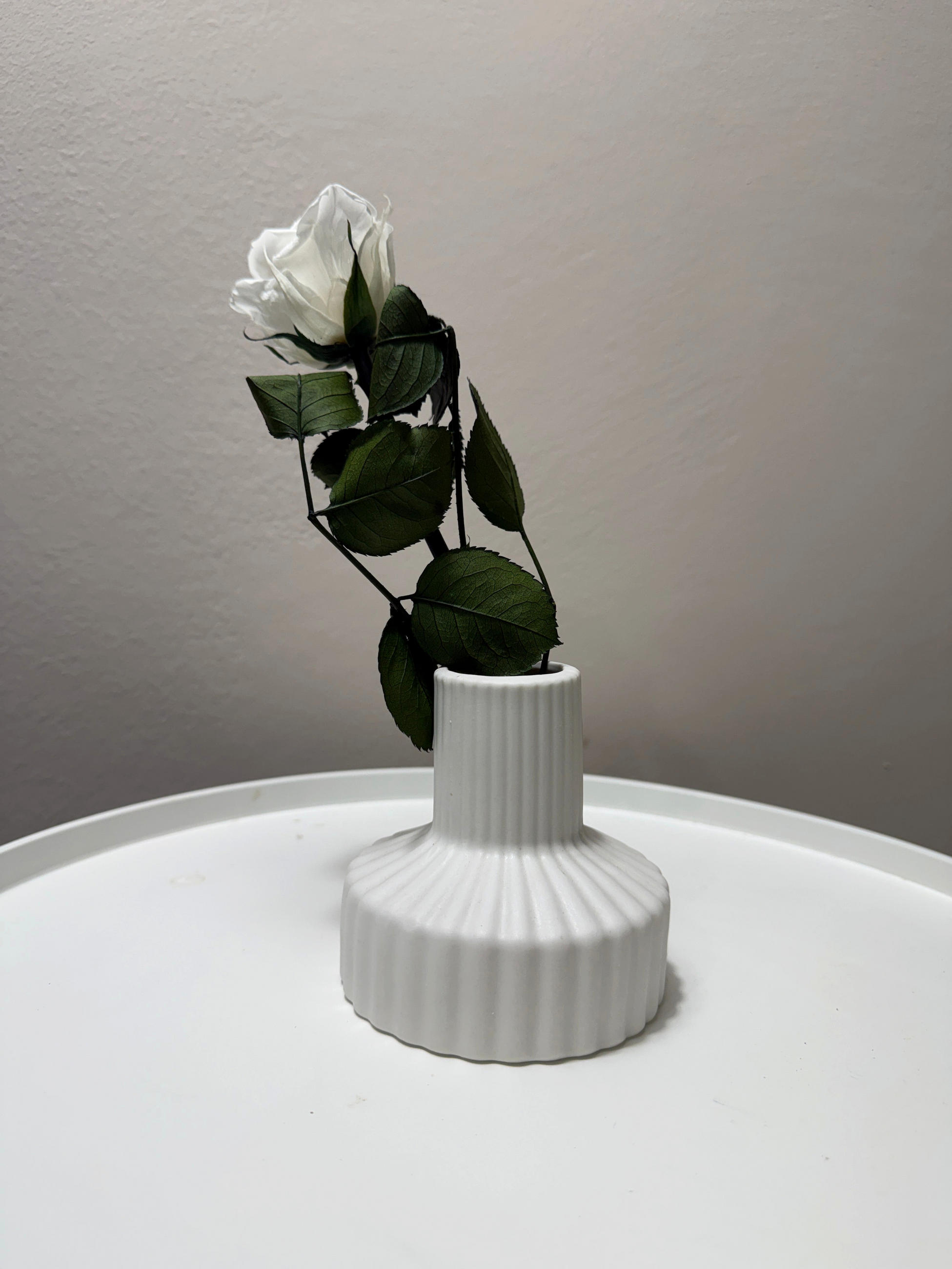 KONSERVIERTE/GEFRIERGETROCKNETE, Rosen: Zeitlose Eleganz für die Ewigkeit - weiß / 30 cm - Weiß, Naturmaterialien (30cm) - Lykke & You