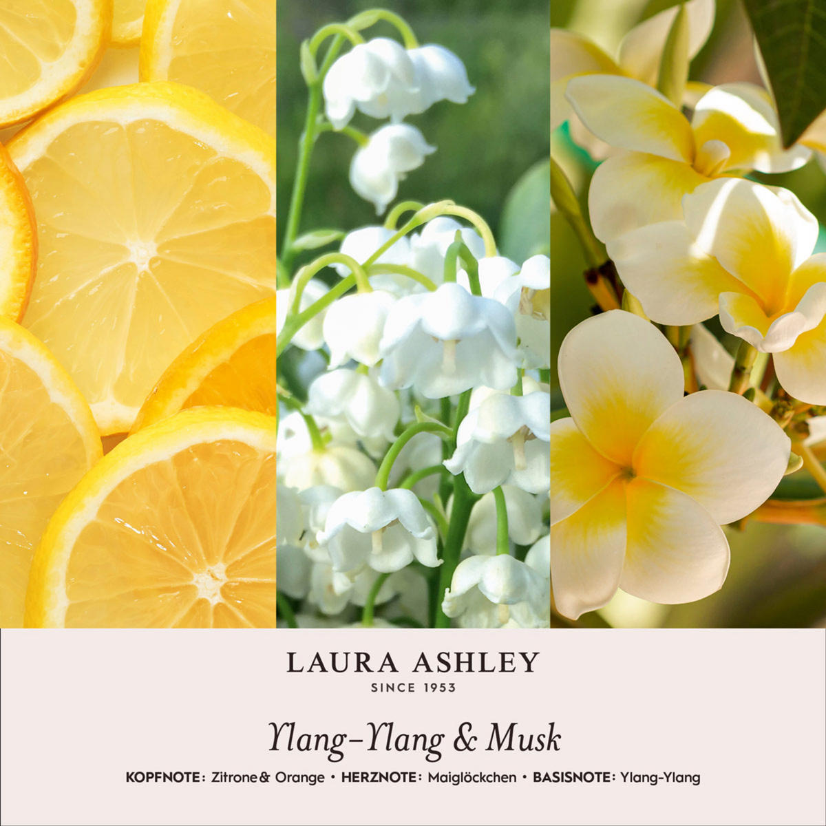 DUFTKERZEN Laura Ashley - Pink, Naturmaterialien/Glas (10cm)