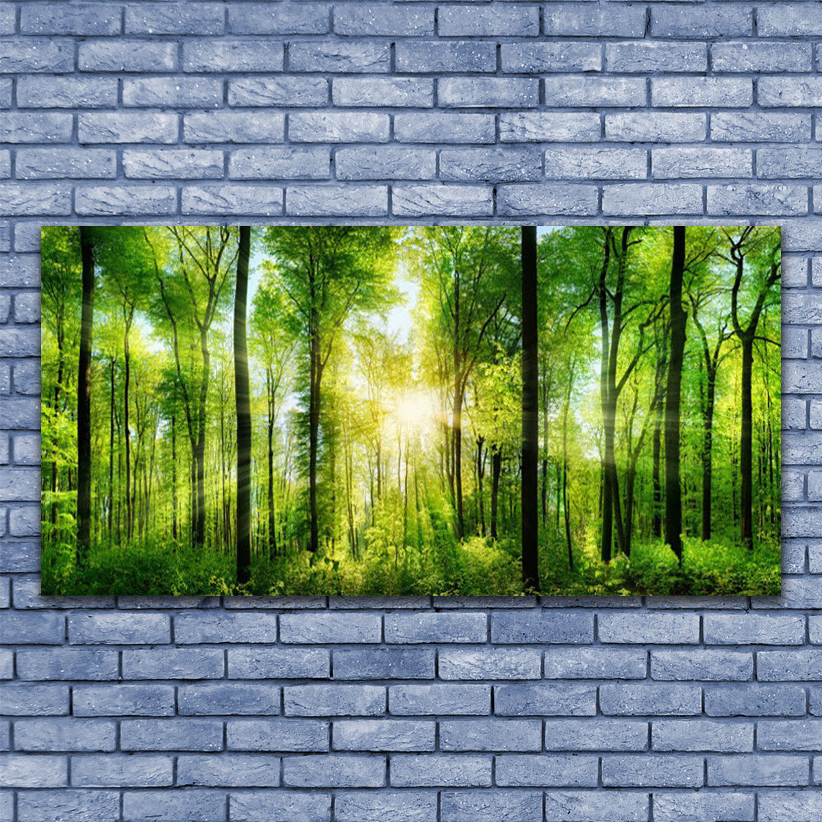 LEINWANDBILD 140x70 cm Sonnenstrahlen im Wald - Dunkelgrün/Gelb, Textil (140/4cm) - TULUP