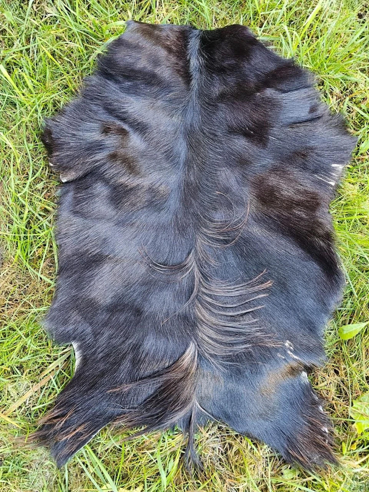 ZIEGENFELL Naturfell weich geruchsneutral Schnäppchen Braun ca. 80 cm - Dunkelbraun/Braun, Fell (48/80cm) - Provellus