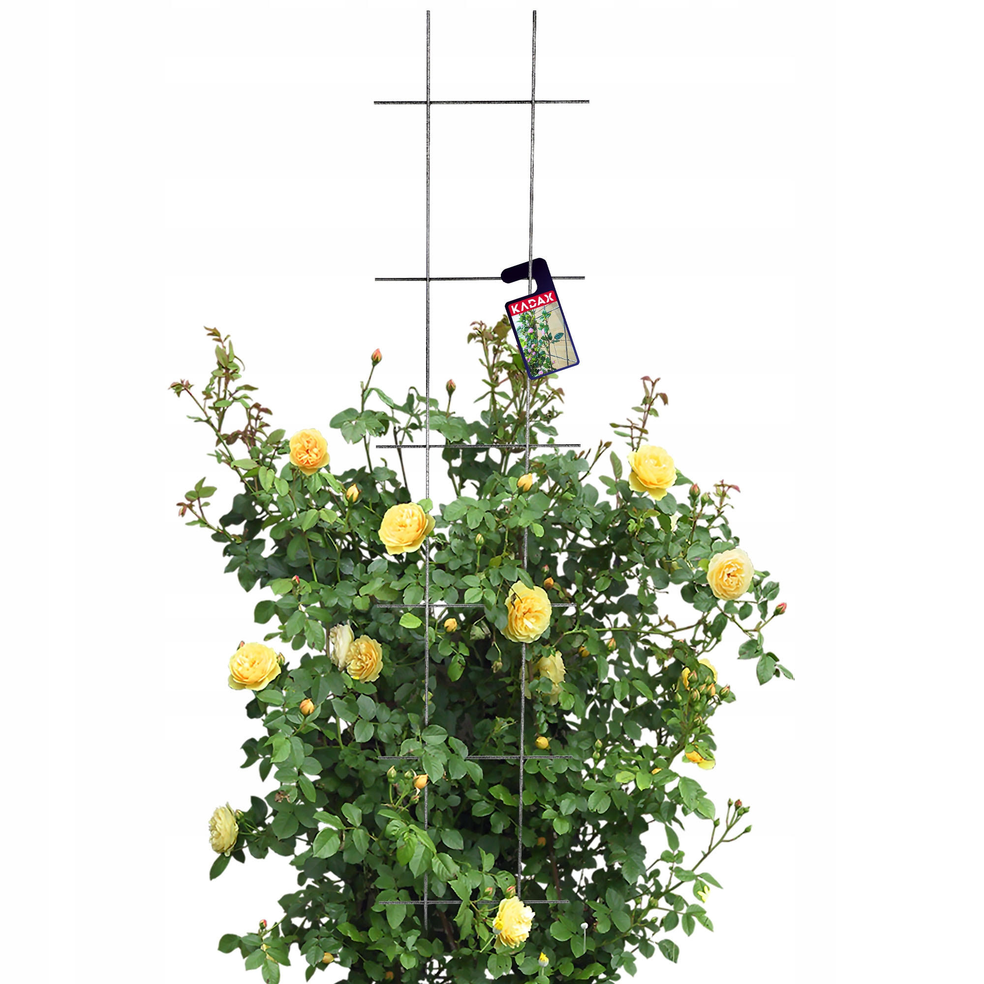 Kadax Blumengitter Schwarz 30x150 cm