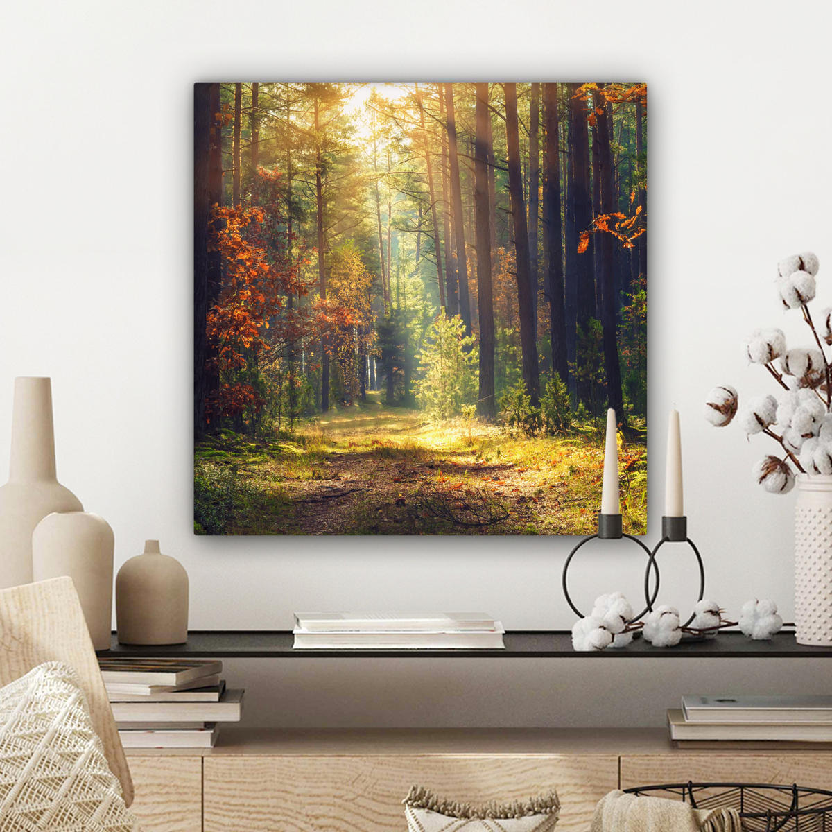 LEINWANDBILD Wald - Herbst - Bäume 50x50 cm - Dunkelgrün, Textil (50/50cm) - MuchoWow