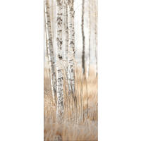 GLASBILD 30x80 cm Wald beige weiß - Beige, Glas (30/80cm) - artissimo