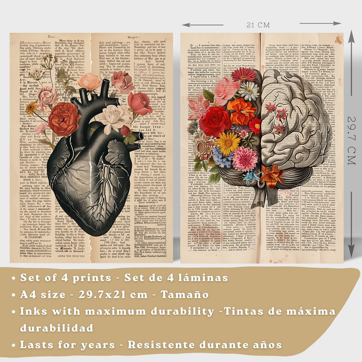 POSTER Set aus 4 Anatomie Drucke und Wandbilder mit Herz Gehirn Skelett und Darm Antiker Hintergrund Medizinische Wanddekoration Größe Rahmenlos A4 - Klar, Papier (21/29.7/3cm) - Nacnic