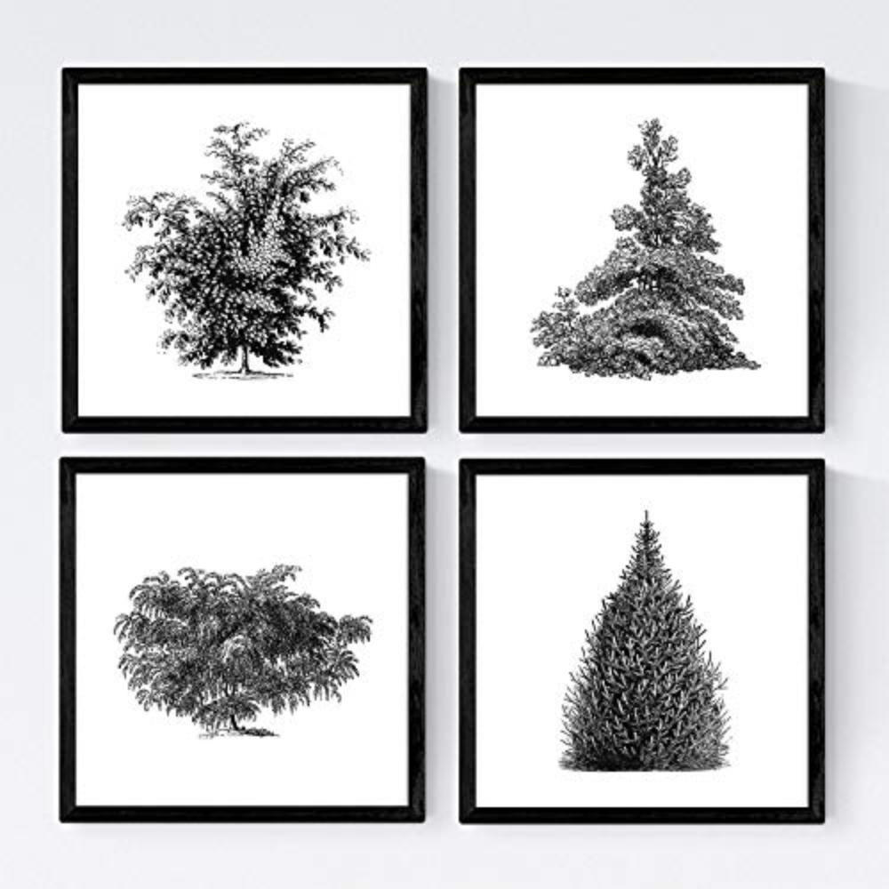 POSTER Set mit 4 Bädern Bäume und Sträucher weißer Hintergrund 20x20cm Rahmenlos - Klar, Papier (20/3cm) - Nacnic