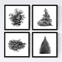 POSTER Set mit 4 Bädern Bäume und Sträucher weißer Hintergrund 20x20cm Rahmenlos - Klar, Papier (20/3cm) - Nacnic