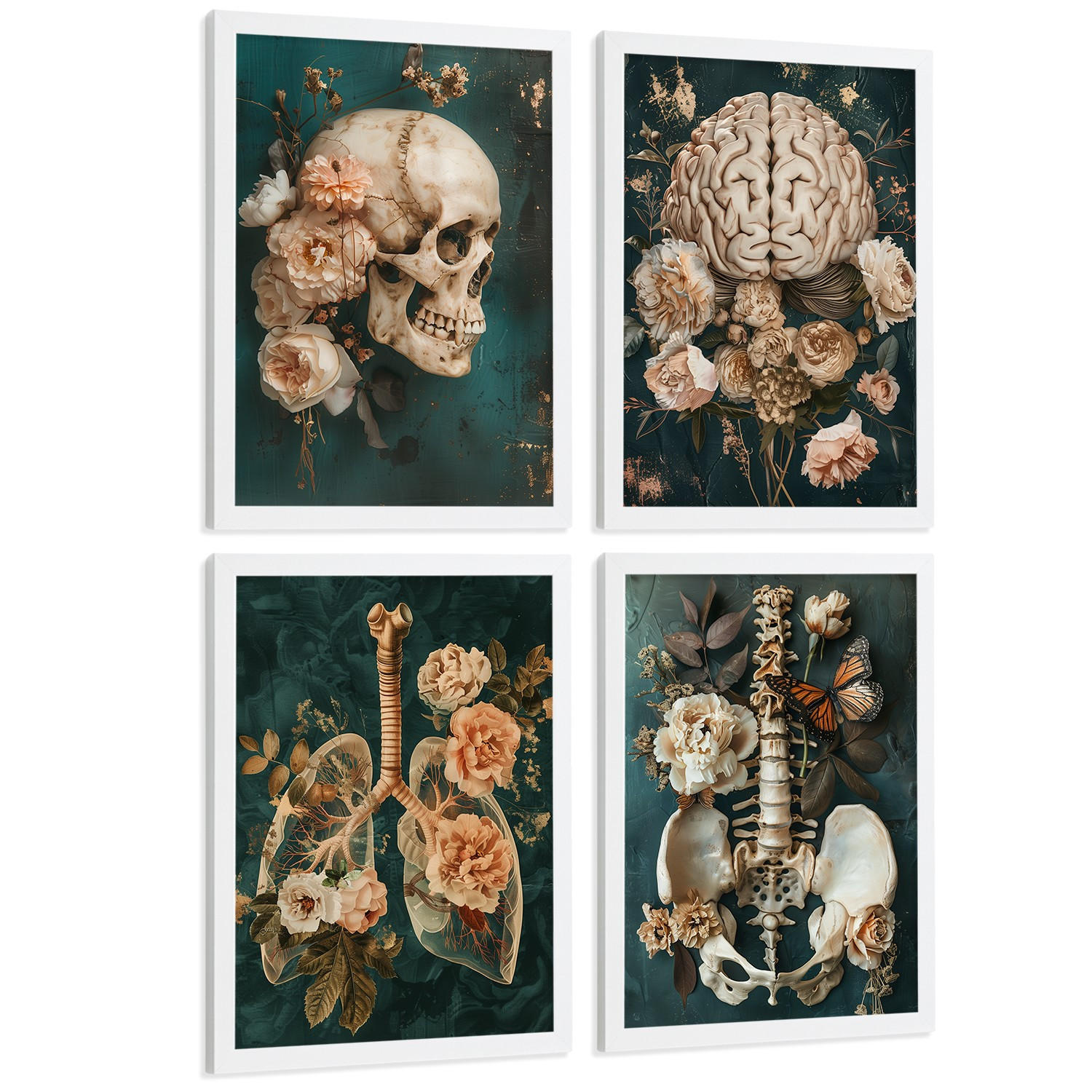 POSTER Set aus 4 Anatomie Mensch Drucke und mit Schädel Gehirn Lungen Luftröhre Bronchien Becken Wirbelsäule Florales Größe Weißer Rahmen A3 - Weiß, Papier (29.7/42/3cm) - Nacnic