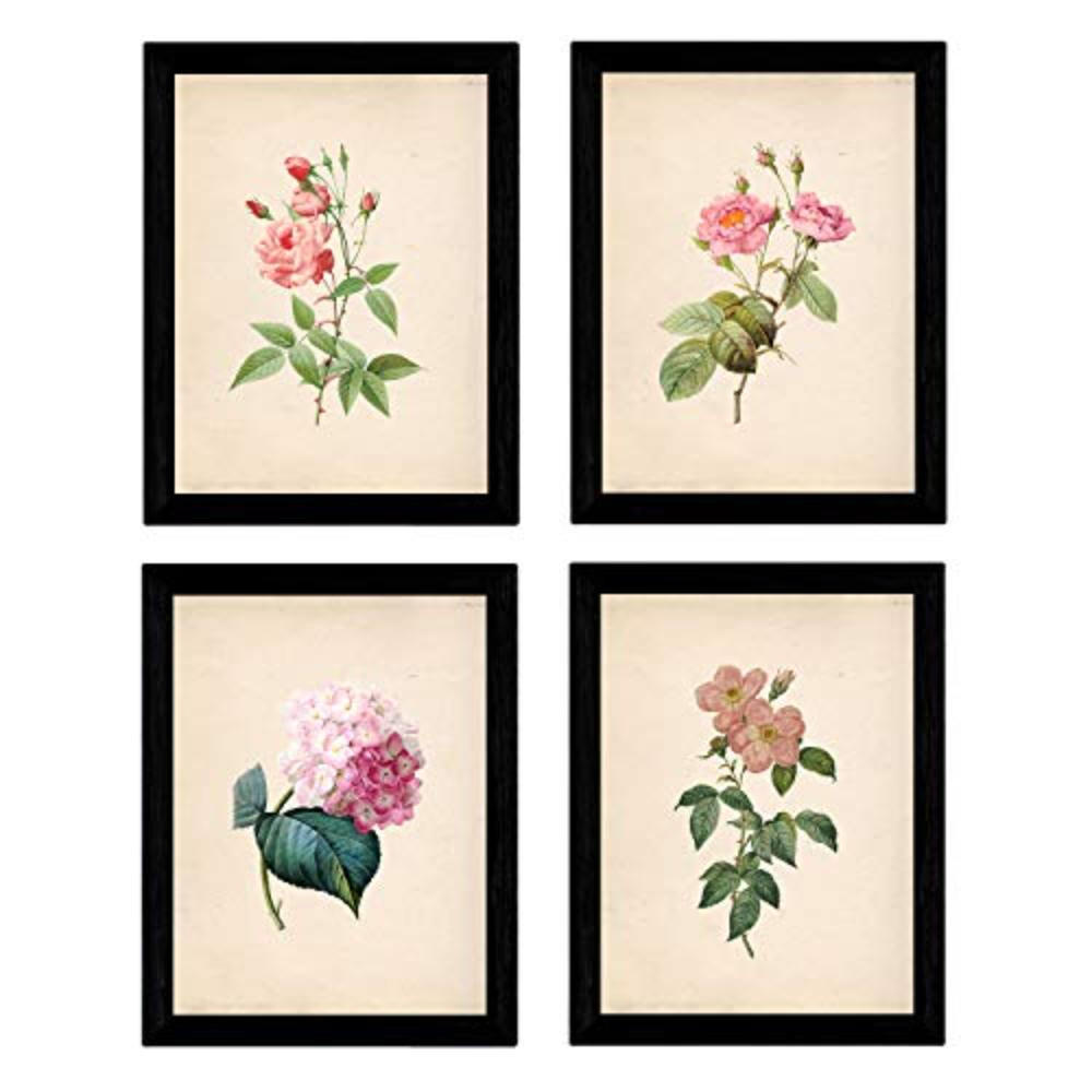 POSTER Set mit 4 Botanischen Stils Rosa weich Papier Hintergrund A4 Rahmenlos - Klar, Papier (29.7/3cm) - Nacnic