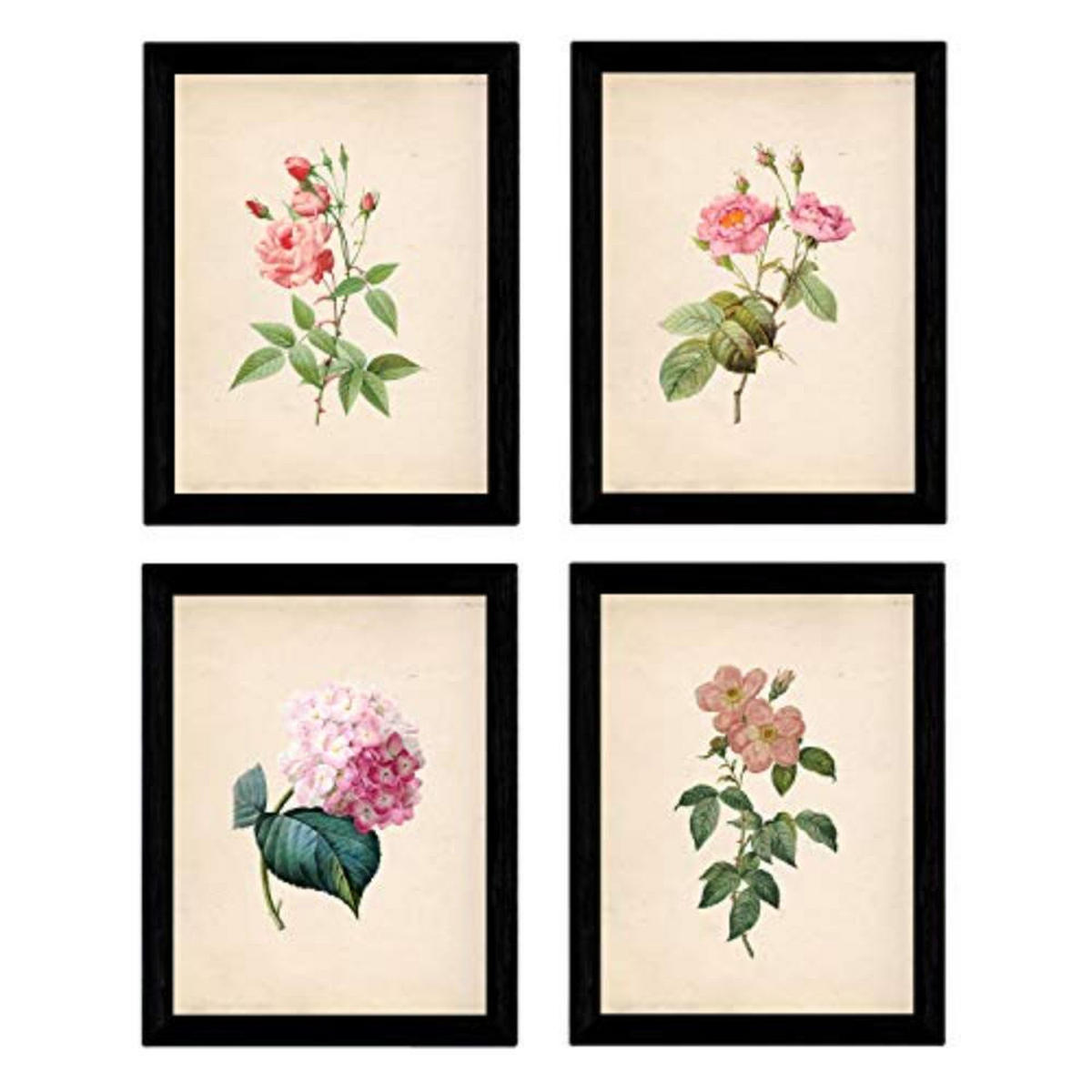 POSTER Set mit 4 Botanischen Stils Rosa weich Papier Hintergrund A4 Rahmenlos - Klar, Papier (29.7/3cm) - Nacnic