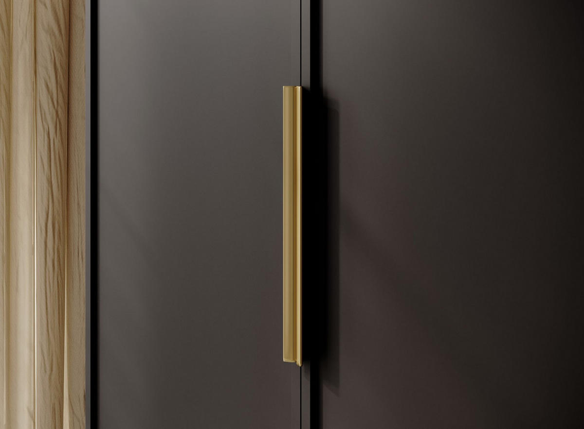 KLEIDERSCHRANK Frame Schwarz 100 cm - Goldfarben/Schwarz, Holzwerkstoff/Metall (100/200.5/57cm) - Selsey