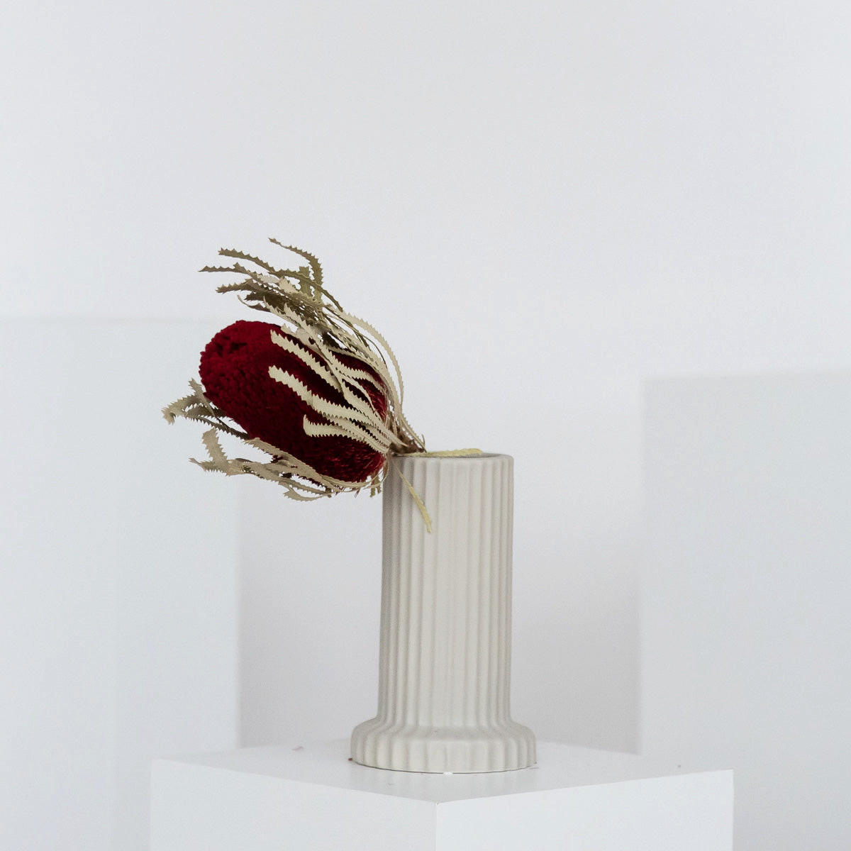 Lykke & You Trockenblume Weinrot 30 cm
