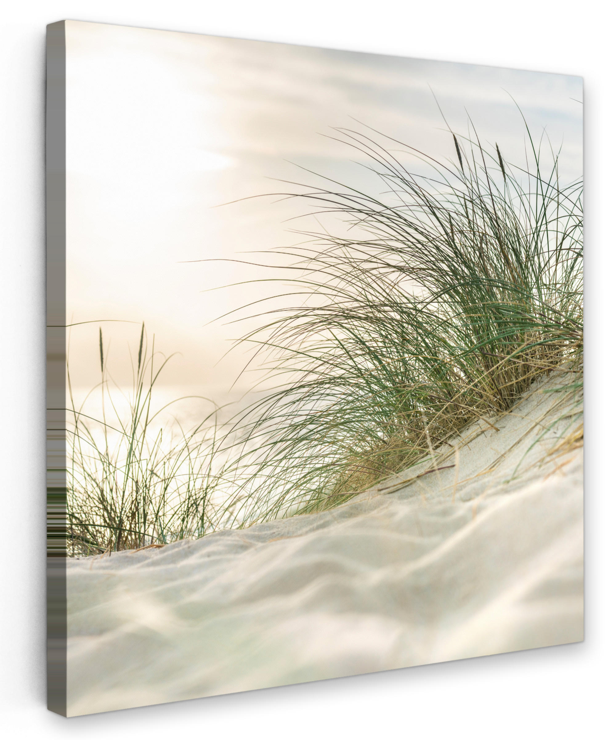 LEINWANDBILD Dünen mit Strandhafer in der Sonne des Nationalparks Schleswig-Holsteinisches Wattenmeer 50x50 cm - Creme, Textil (50/50cm) - MuchoWow