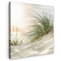 LEINWANDBILD Dünen mit Strandhafer in der Sonne des Nationalparks Schleswig-Holsteinisches Wattenmeer 50x50 cm - Creme, Textil (50/50cm) - MuchoWow