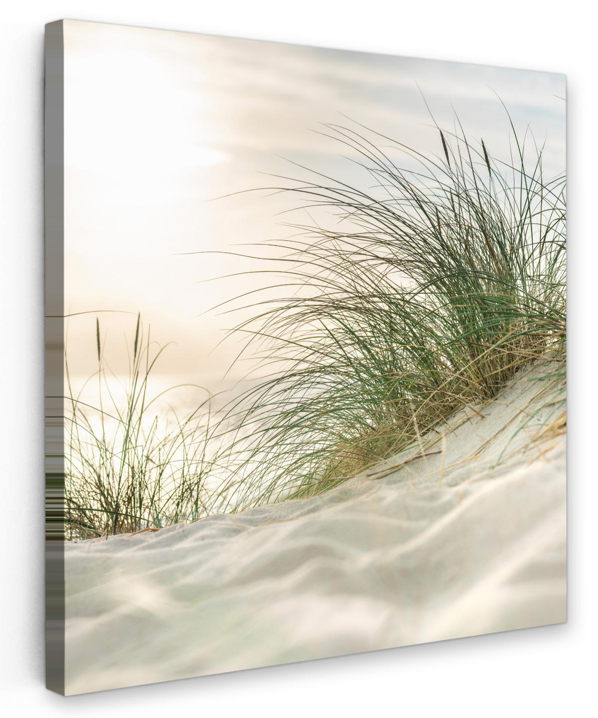LEINWANDBILD Dünen mit Strandhafer in der Sonne des Nationalparks Schleswig-Holsteinisches Wattenmeer 50x50 cm - Creme, Textil (50/50cm) - MuchoWow