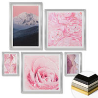 WANDBILDER 5er Set - 50x50 cm & 20x30 cm & 40x60 cm Silberner Rahmen - Abstraktionen dekorativer Malerei - Silberfarben, Kunststoff (40/60cm) - ArtPrintCave