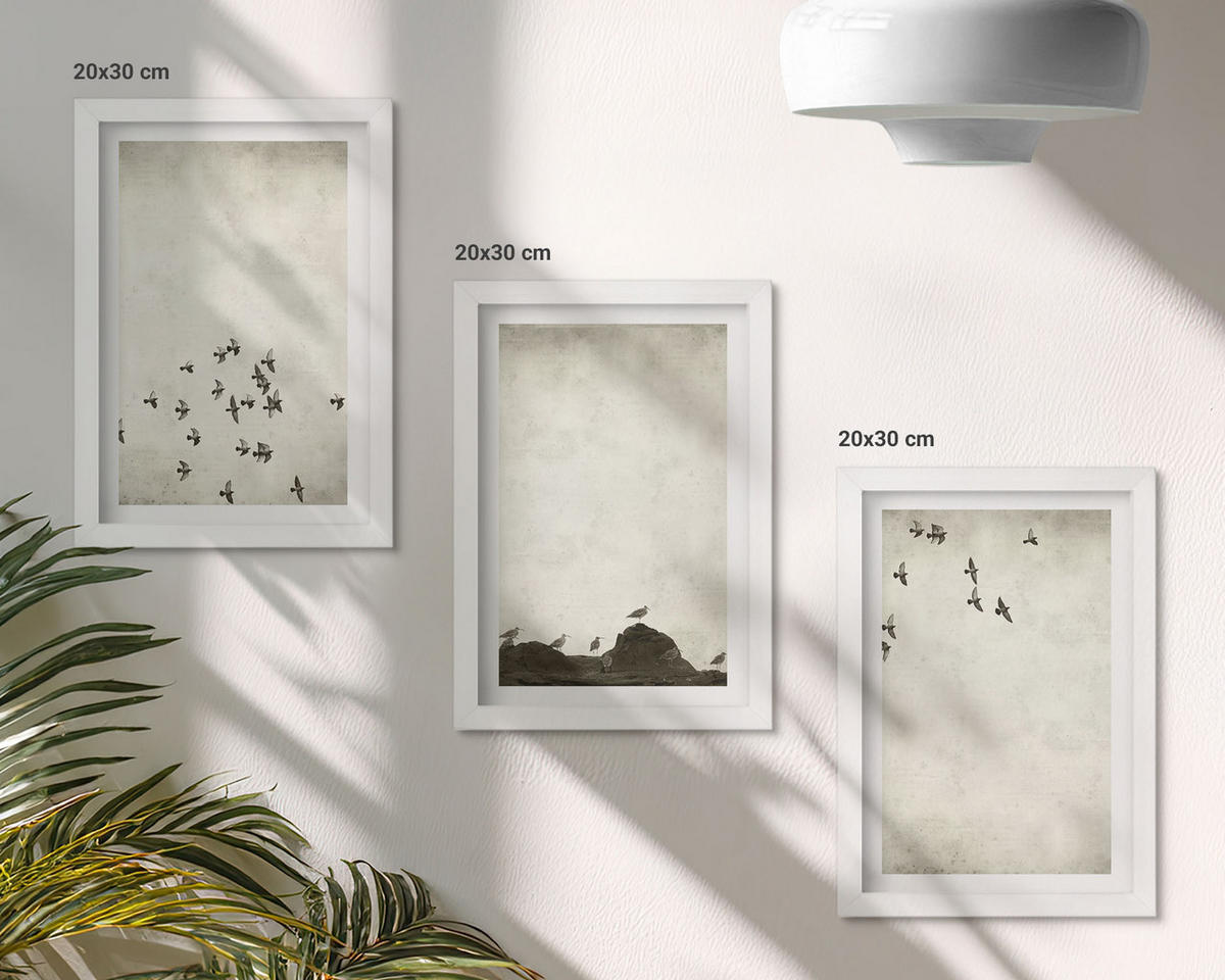 WANDBILDER 3er-Set - 20x30 cm Weißer Rahmen - Vögel im Flug, minimalistischer Stil - Weiß, Kunststoff (20/30cm) - ArtPrintCave