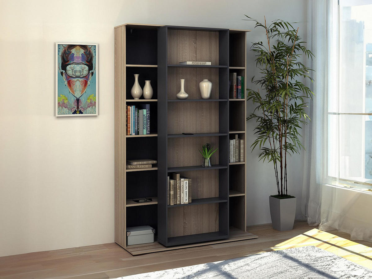 BÜCHERREGAL - 116.6 cm x 46 cm - holz - anthrazitgrau, naturfarben hell Prali - Anthrazit/Naturfarben, Holz (116.6/185/46cm) - Vente-Unique