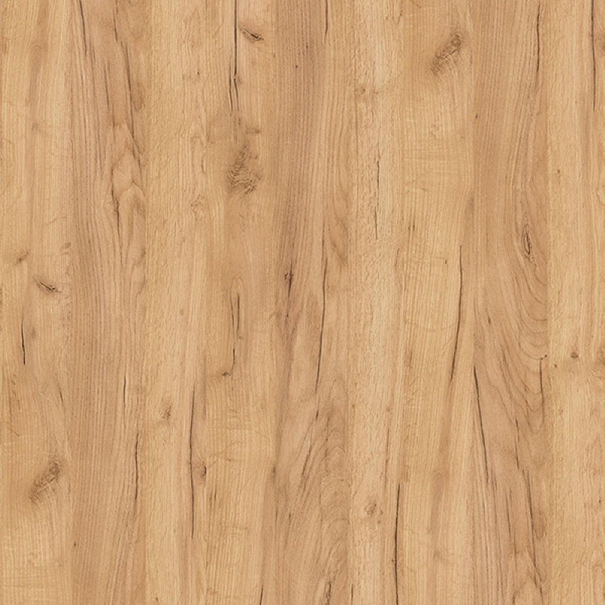 BETT Xelo G wildeiche gold / weiß 256 cm / 208 cm / 92 cm - Braun, Holz/Holzwerkstoff (160/200cm) - Feldmann-Wohnen