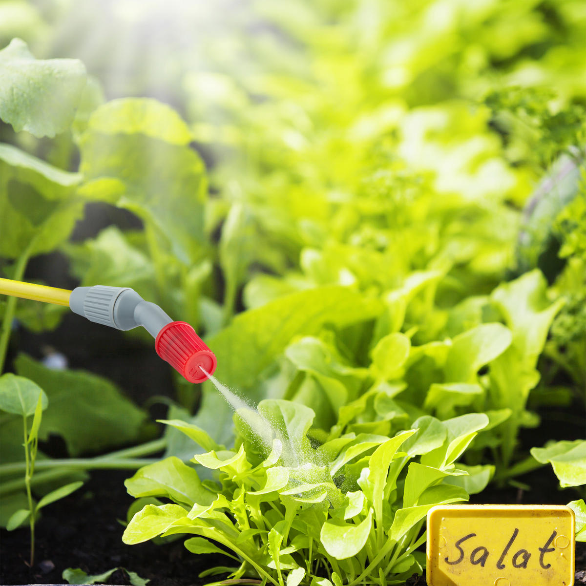 DRUCKSPRÜHER - Weiß, Kunststoff (65/45/17.5cm) - Relaxdays