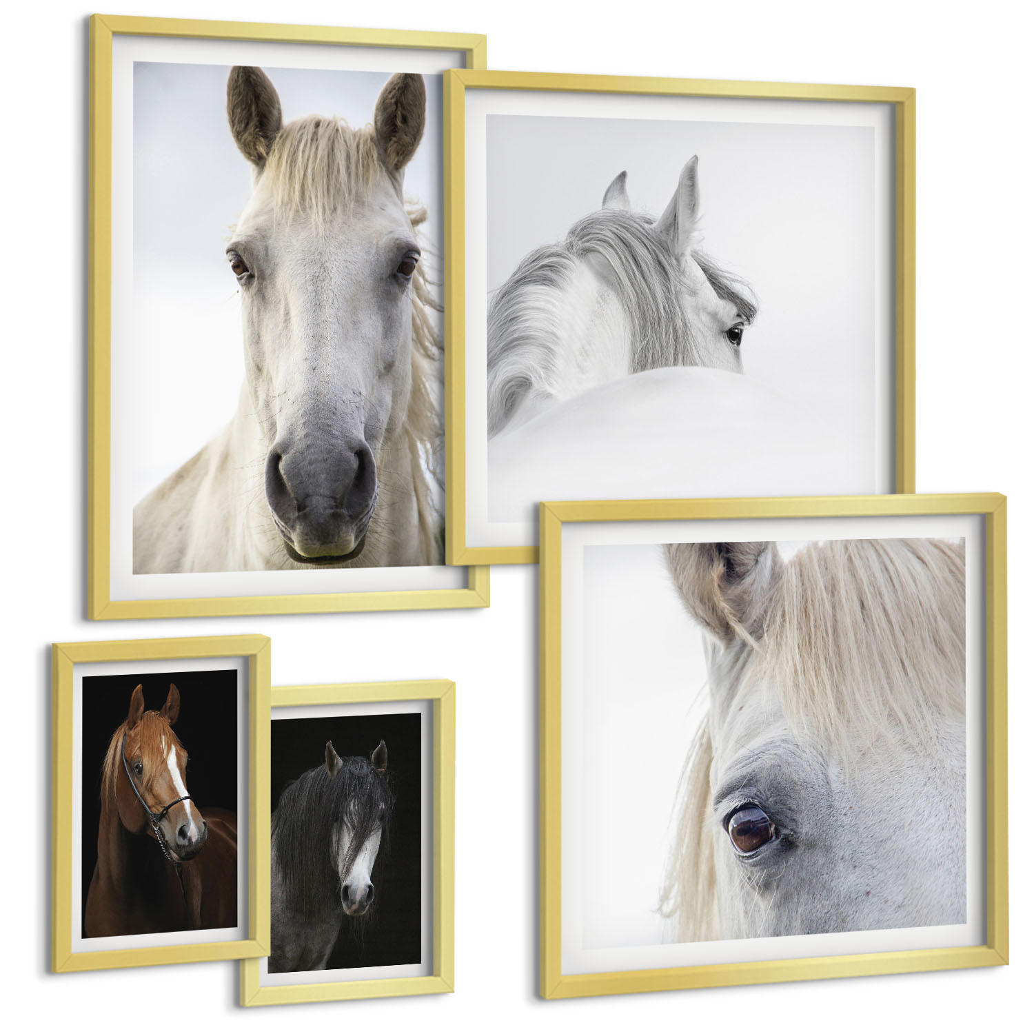 BILDER SET 5er Set - 50x50 cm & 20x30 cm & 40x60 cm Goldrahmen - Pferdeporträts in Schattierungen - Goldfarben, Kunststoff (40/60cm) - TULUP