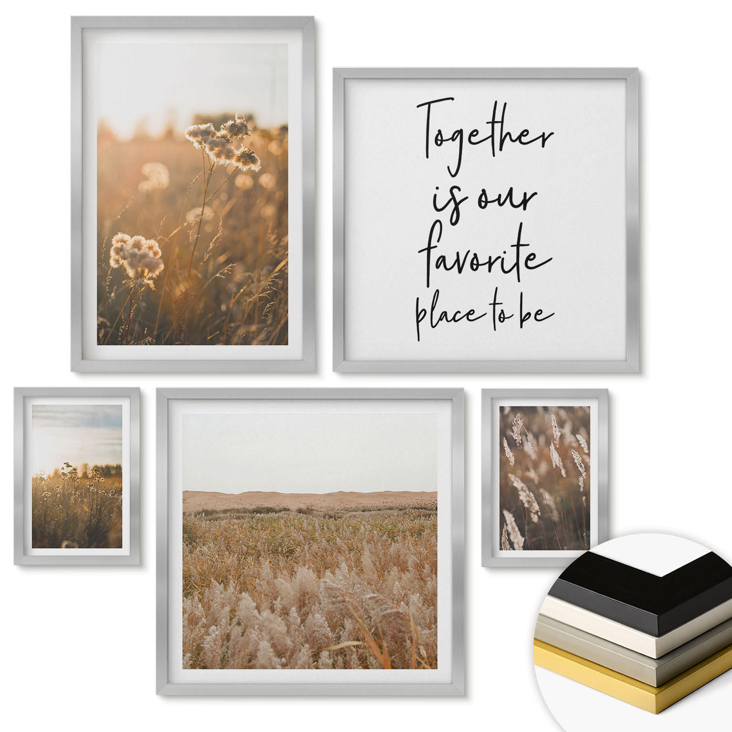 WANDBILDER 5er Set - 50x50 cm & 20x30 cm & 40x60 cm Silberner Rahmen - Landschaftsgrasblumen Wärme - Silberfarben, Kunststoff (40/60cm) - ArtPrintCave