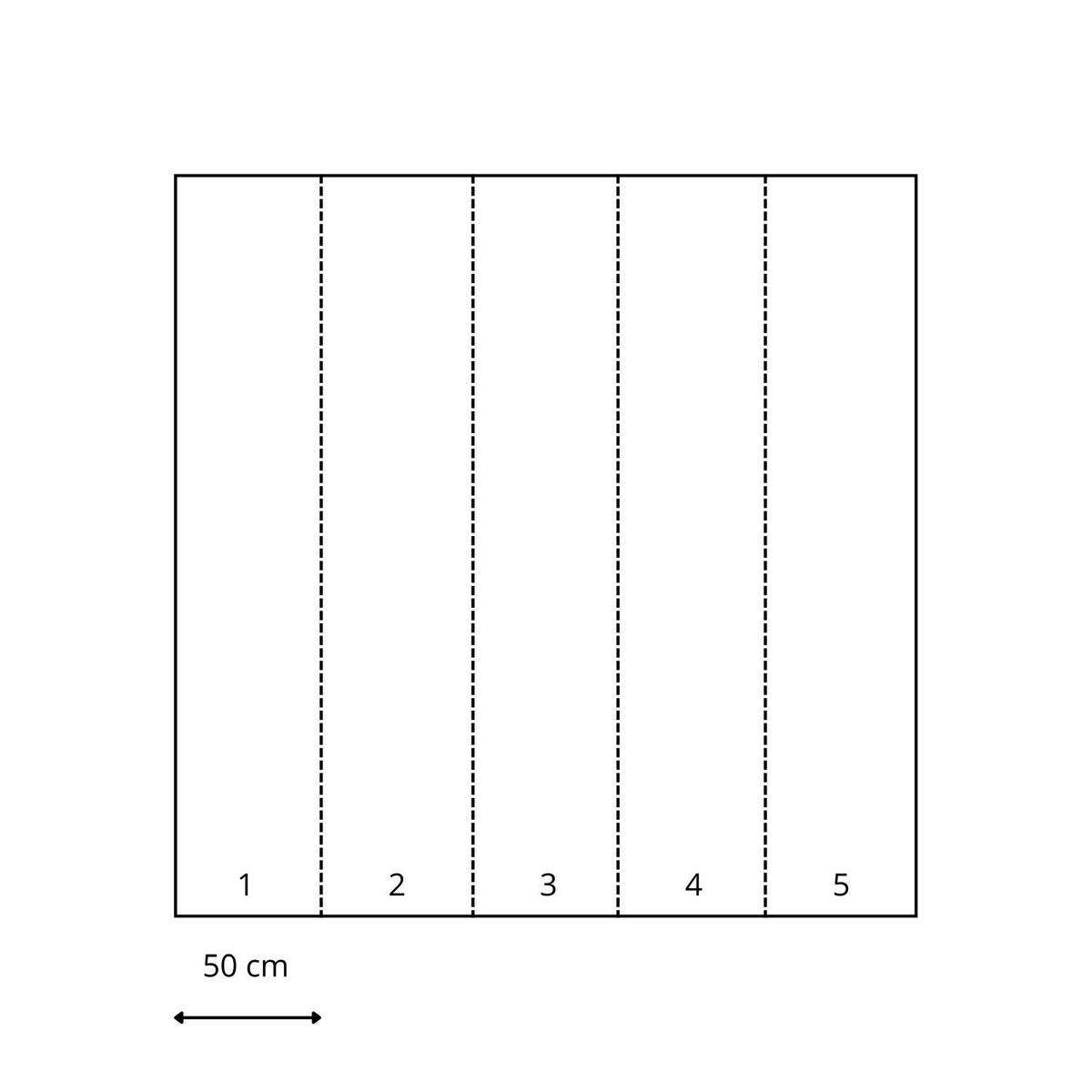 FOTOTAPETE halbhohe Wandverkleidung 2.5 x 2.79 m - Pink, Papier (250/279cm) - ESTAhome