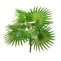 KUNSTPFLANZE Künstlicher Palmenbusch - Carina 35 cm - Grün, Kunststoff (35cm) - aplanta