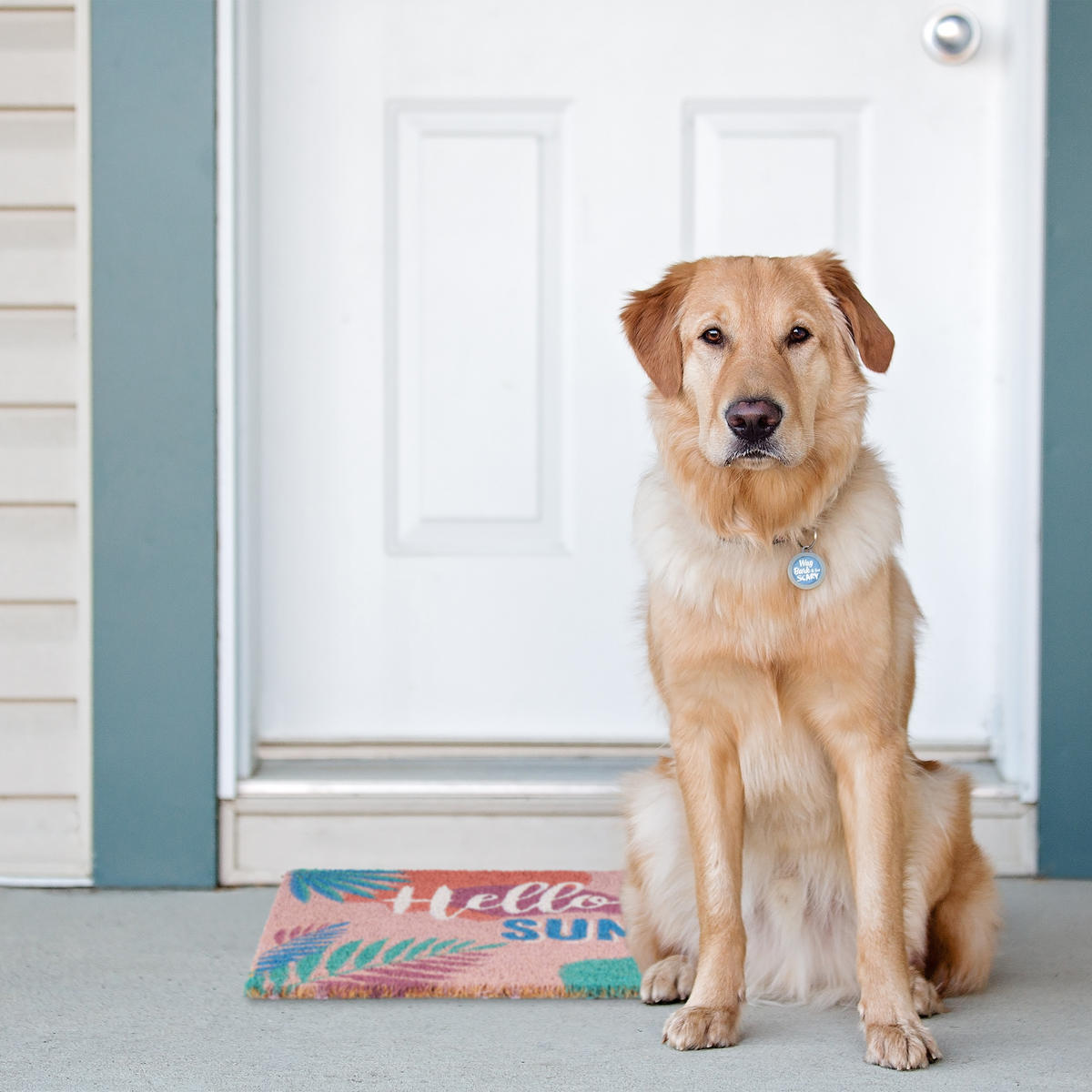 KOKOSFUßMATTE - Multicolor, Kunststoff/Textil (60/40cm) - Relaxdays