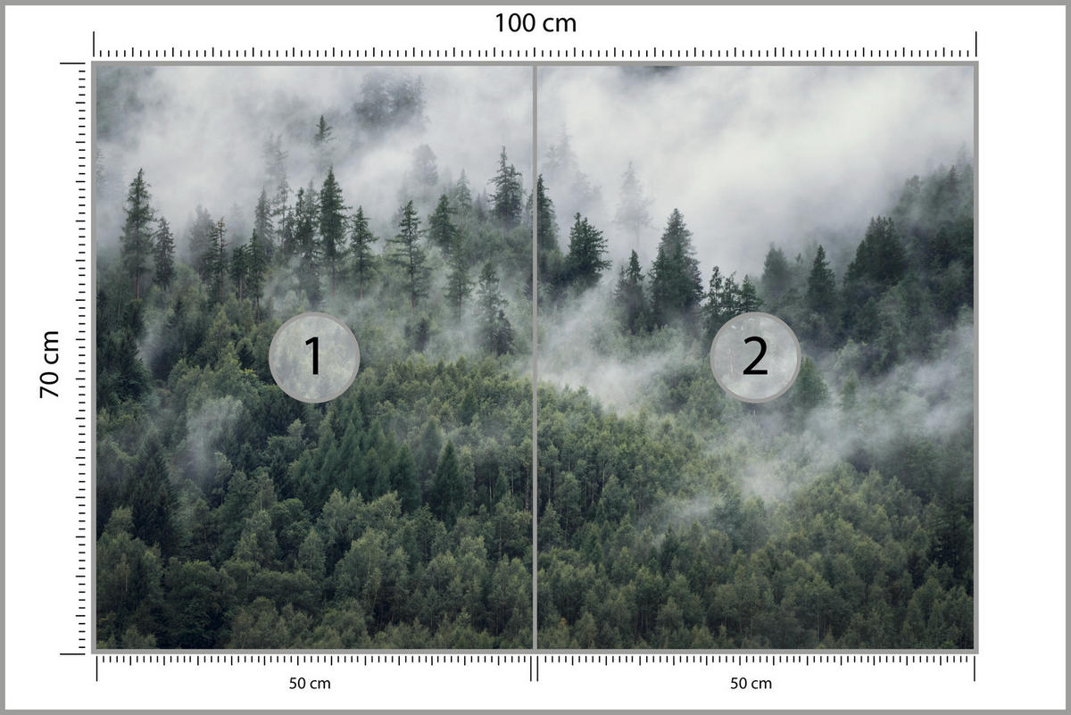 FOTOTAPETE für Schlafzimmer Morgennebel Nadelwald Bäume 100x70 - Weiß/Grau, Papier (100/70cm) - Muralo