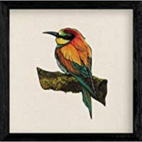 POSTER Platz Vogelzeichnungen Ruhe 20X20cm Rahmenlos - Klar, Papier (20/5/20cm) - Nacnic