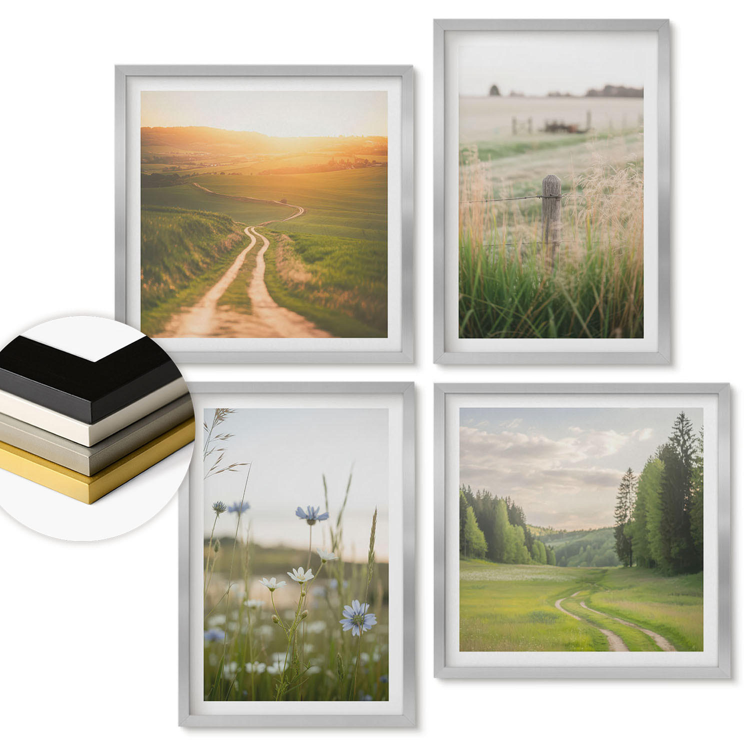 WANDBILDER 4er Set - 50x50 cm & 40x60 cm Silberner Rahmen - Landschaften Natur Felder Sonne - Silberfarben, Kunststoff (50/50cm) - ArtPrintCave