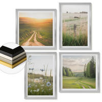 WANDBILDER 4er Set - 50x50 cm & 40x60 cm Silberner Rahmen - Landschaften Natur Felder Sonne - Silberfarben, Kunststoff (50/50cm) - ArtPrintCave