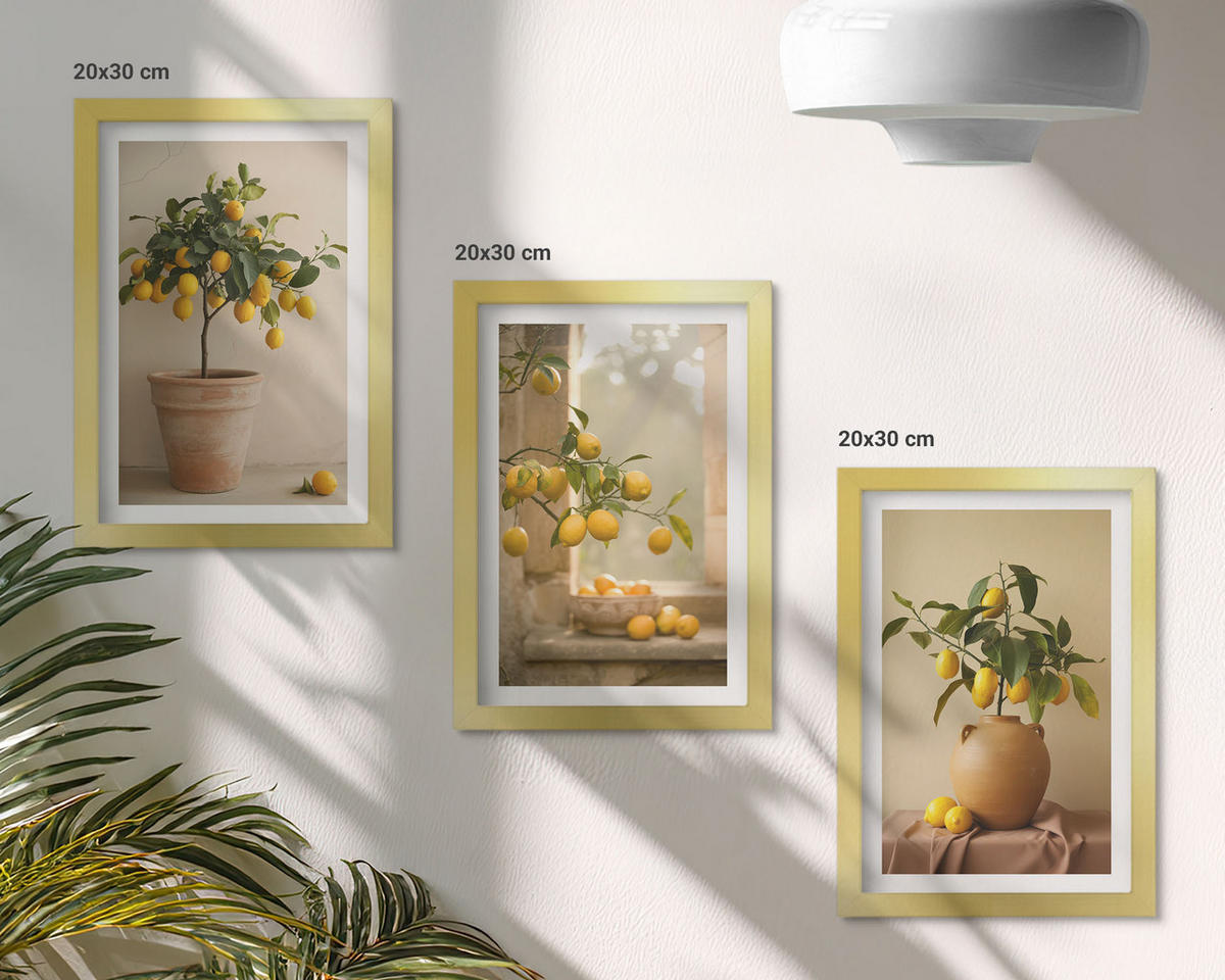 WANDBILDER 3er Set - 20x30 cm Goldrahmen - Zitronenbäume im Topf - Goldfarben, Kunststoff (20/30cm) - ArtPrintCave