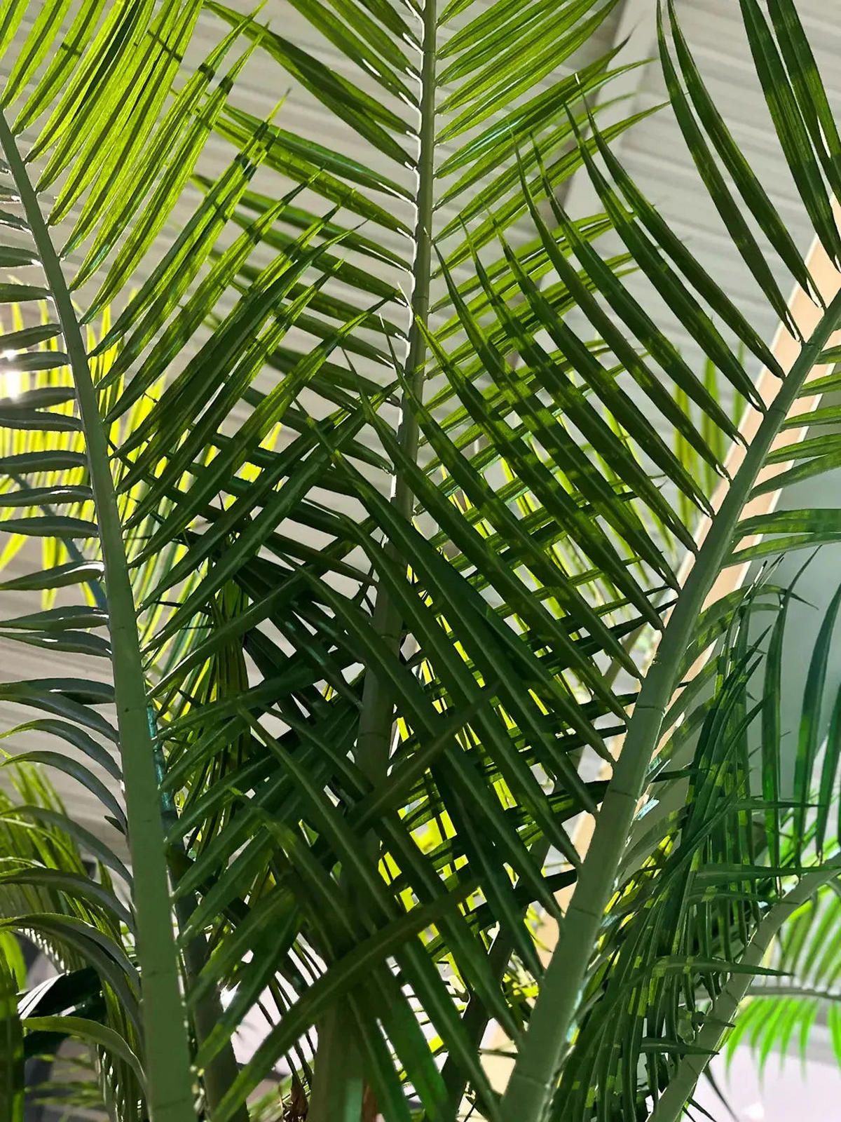 PALME Künstliche Dattelpalme - Kian 180 cm - Grün, Kunststoff (180cm) - aplanta