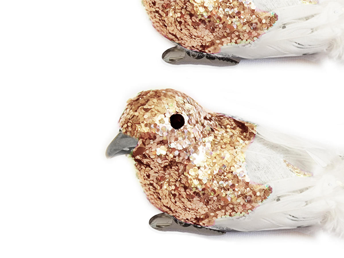 WEIHNACHTSVOGEL 2er-Set mit Clip mit Glitzer Champagner 13 cm - Champagner/Goldfarben, Naturmaterialien/Kunststoff (5/5/13cm) - LAALU