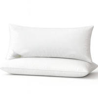 KOPFKISSEN BeauNuit FK 40x80cm Weiß (2tlg) - Weiß, Textil (80/40cm) - Beautissu 
