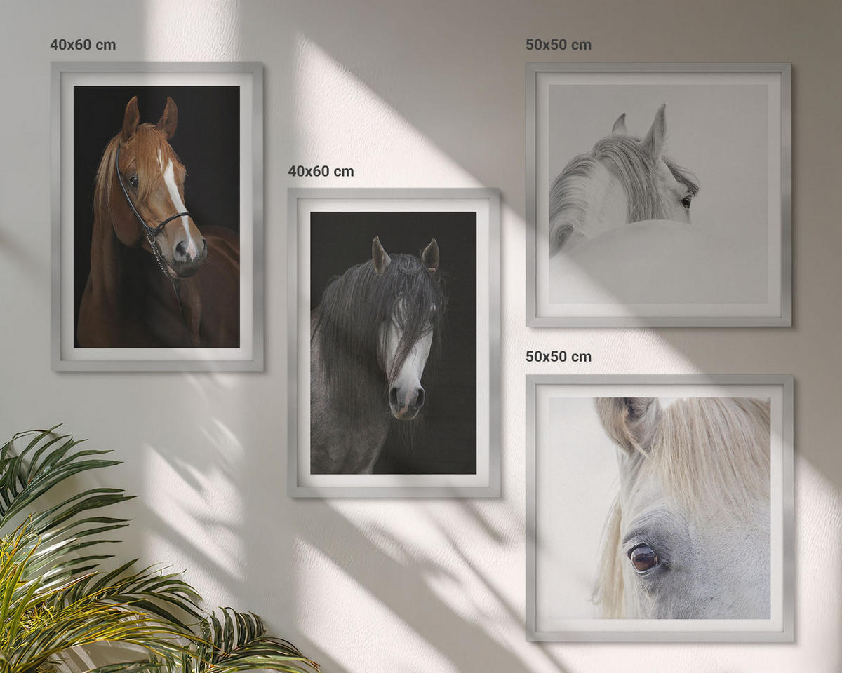 BILDER SET 4er Set - 50x50 cm & 40x60 cm Silberner Rahmen - Pferdeporträts in Schattierungen - Silberfarben, Kunststoff (50/50cm) - TULUP