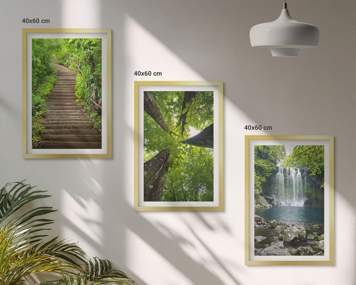 BILDER SET 3er Set - 40x60 cm Goldrahmen - Pfad Wald Wasserfall Vegetation - Goldfarben, Kunststoff (40/60cm) - TULUP