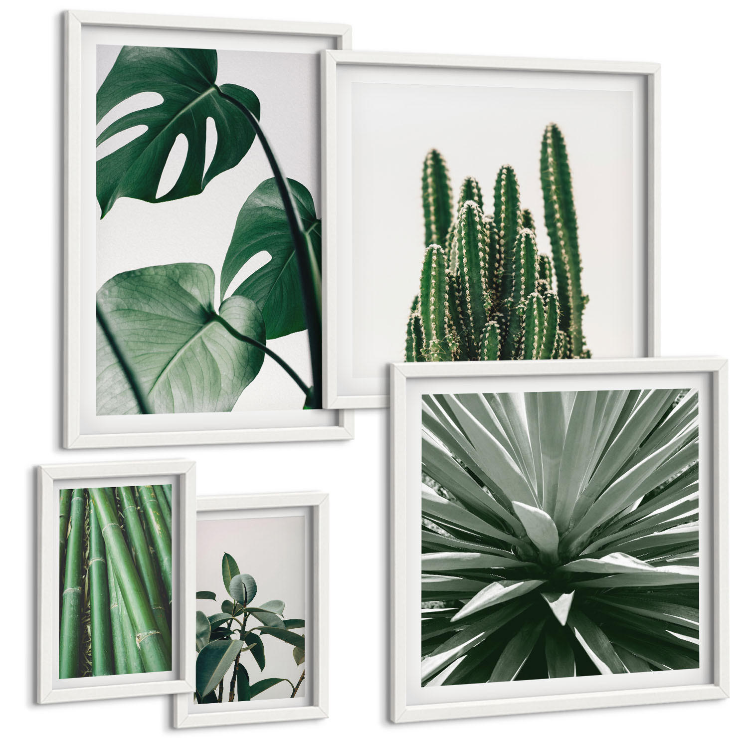 BILDER SET 5er Set - 50x50 cm & 20x30 cm & 40x60 cm Weißer Rahmen - Bambusblätter - Weiß, Kunststoff (40/60cm) - TULUP