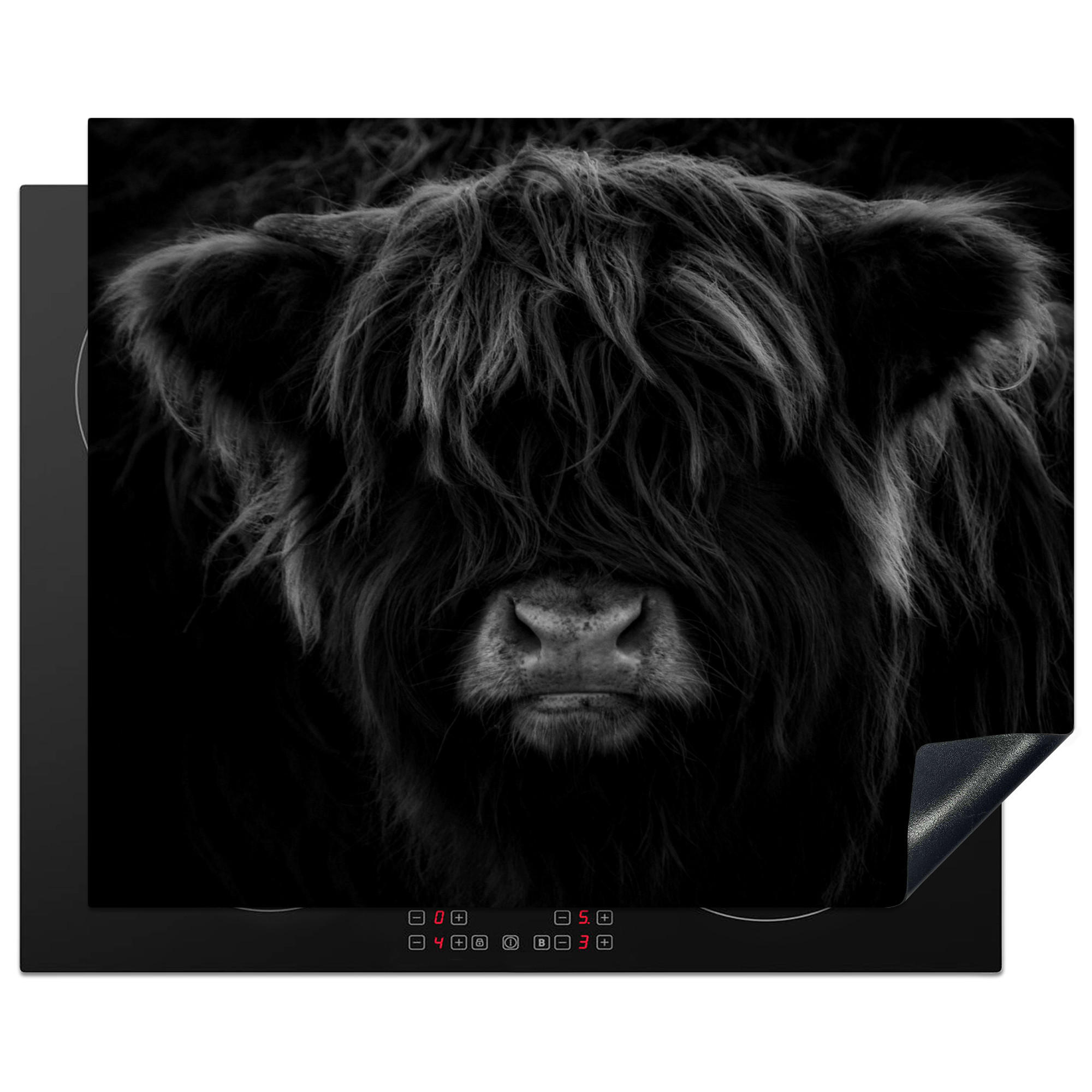 HERDABDECKPLATTE Schottischer Highlander - Kuh - Schwarz - Weiß - Tiere Herdabdeckung Induktionsfeld 65x52 cm - Schwarz, Kunststoff (65/52/0.2cm) - MuchoWow