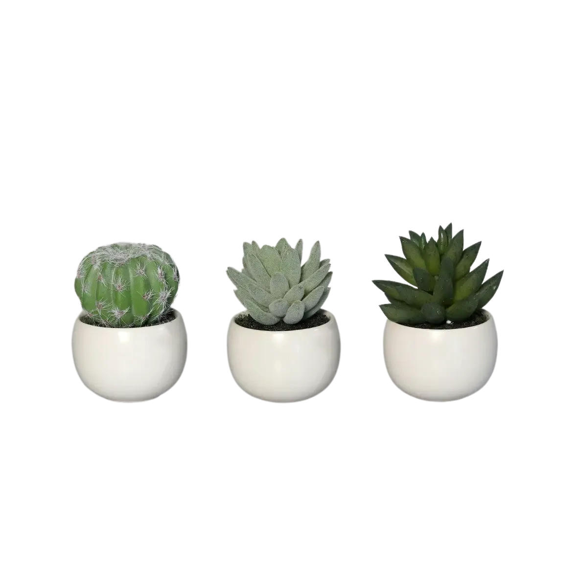 KÜNSTLICHE Sukkulenten Kaketeen 3 Stück - Bambo 8 cm, weißer Keramiktopf - Grün, Kunststoff (8cm) - aplanta