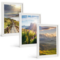 BILDER SET 3er Set - 40x60 cm Weißer Rahmen - Berglandschaft mit Blumen - Weiß, Kunststoff (40/60cm) - TULUP