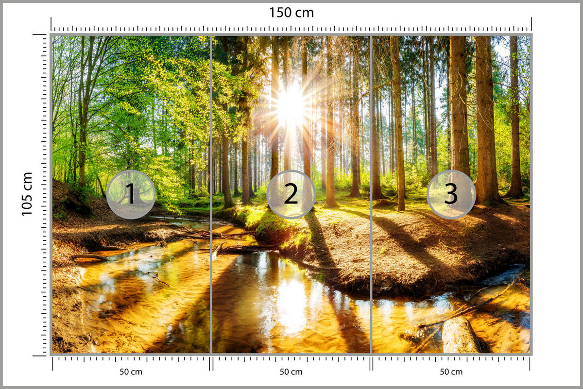 FOTOTAPETE für Wohnzimmer Pflanzen Natur Gras Sonniger Wald Bäume 150x105 - Multicolor, Papier (150/105cm) - Muralo