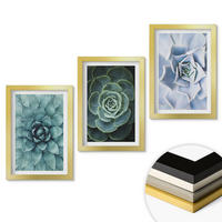 WANDBILDER 3er Set - 20x30 cm Goldrahmen - Sukkulente Pflanzen grün türkis - Goldfarben, Kunststoff (20/30cm) - ArtPrintCave