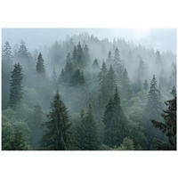 FOTOTAPETE Wald Nebel 3D Effekt Natur Wohnzimmer 350x250 - Multicolor, Papier (350/250cm) - Wallarena