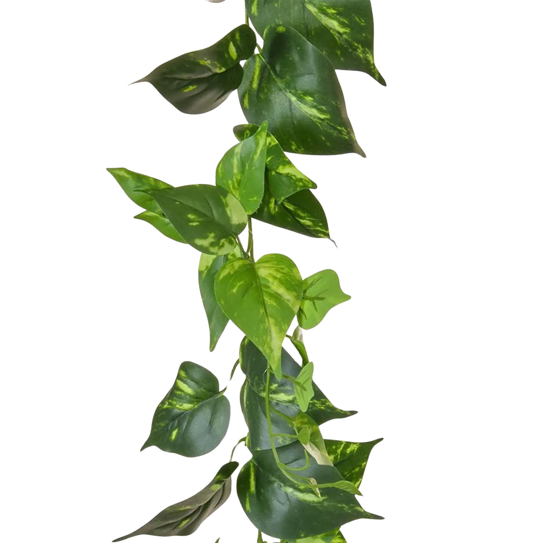 KUNSTPFLANZE Künstliche Pothos Girlande - Christian 220 cm - Grün, Kunststoff (220cm) - aplanta