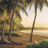 FOTOTAPETE Strand-Motiv 400 x 250 cm - Grün, Papier (400/250cm) - Sanders & Sanders