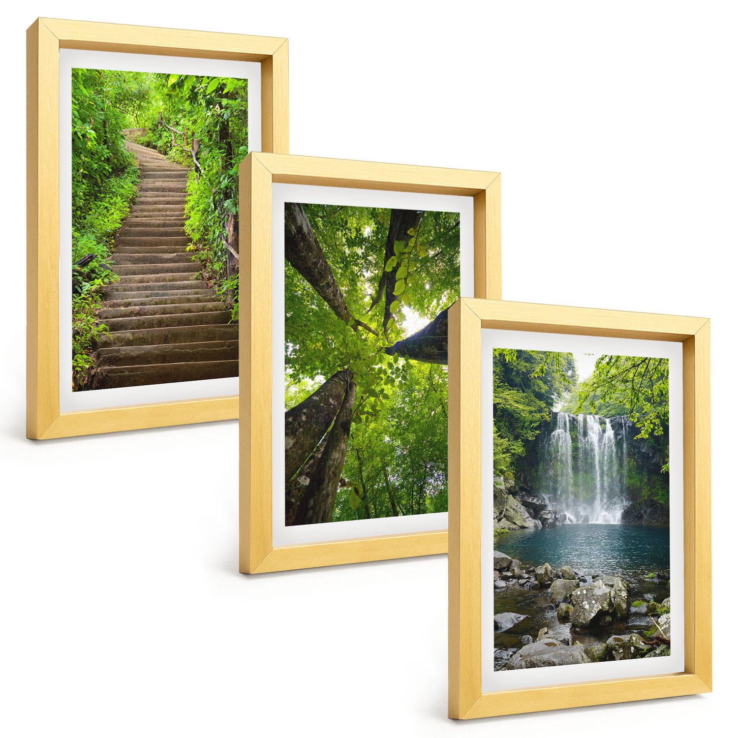 BILDER SET 3er Set - 20x30 cm Goldrahmen - Pfad Wald Wasserfall Vegetation - Goldfarben, Kunststoff (20/30cm) - TULUP